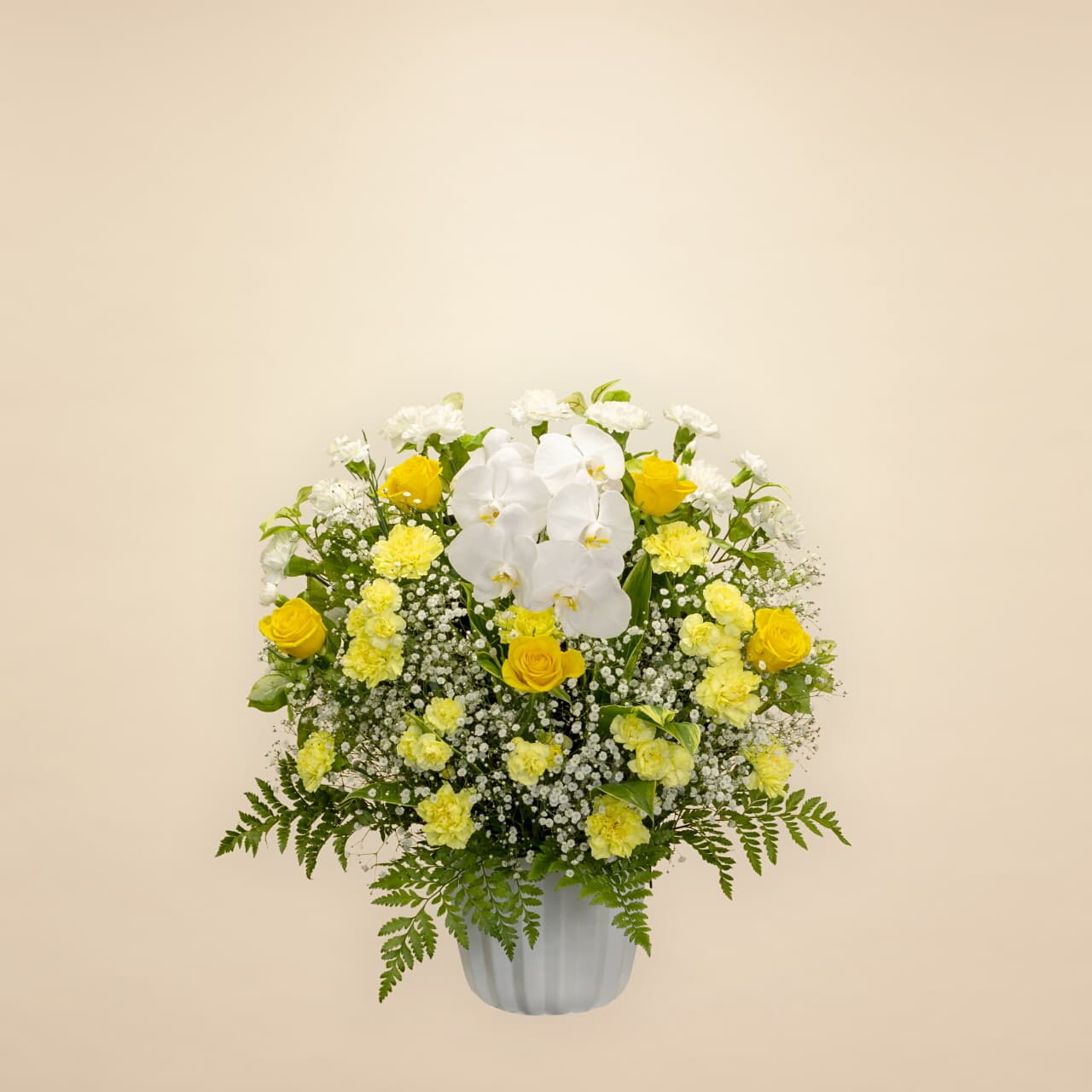 洋花イエロー 15000