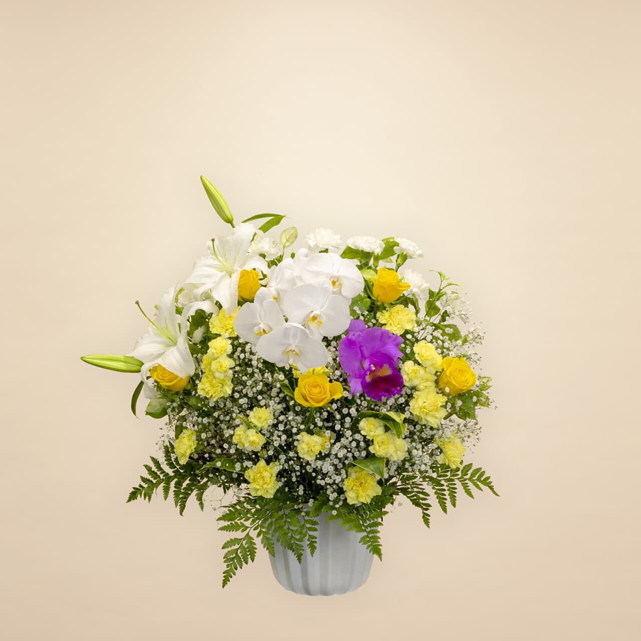 洋花イエロー 20000