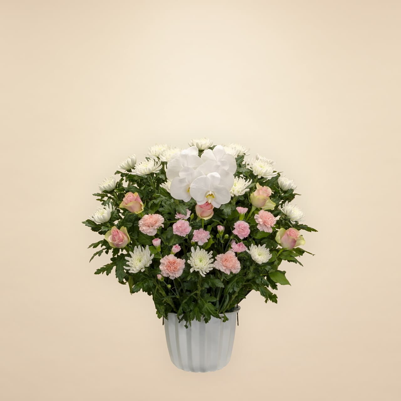 ミックスピンク 15000