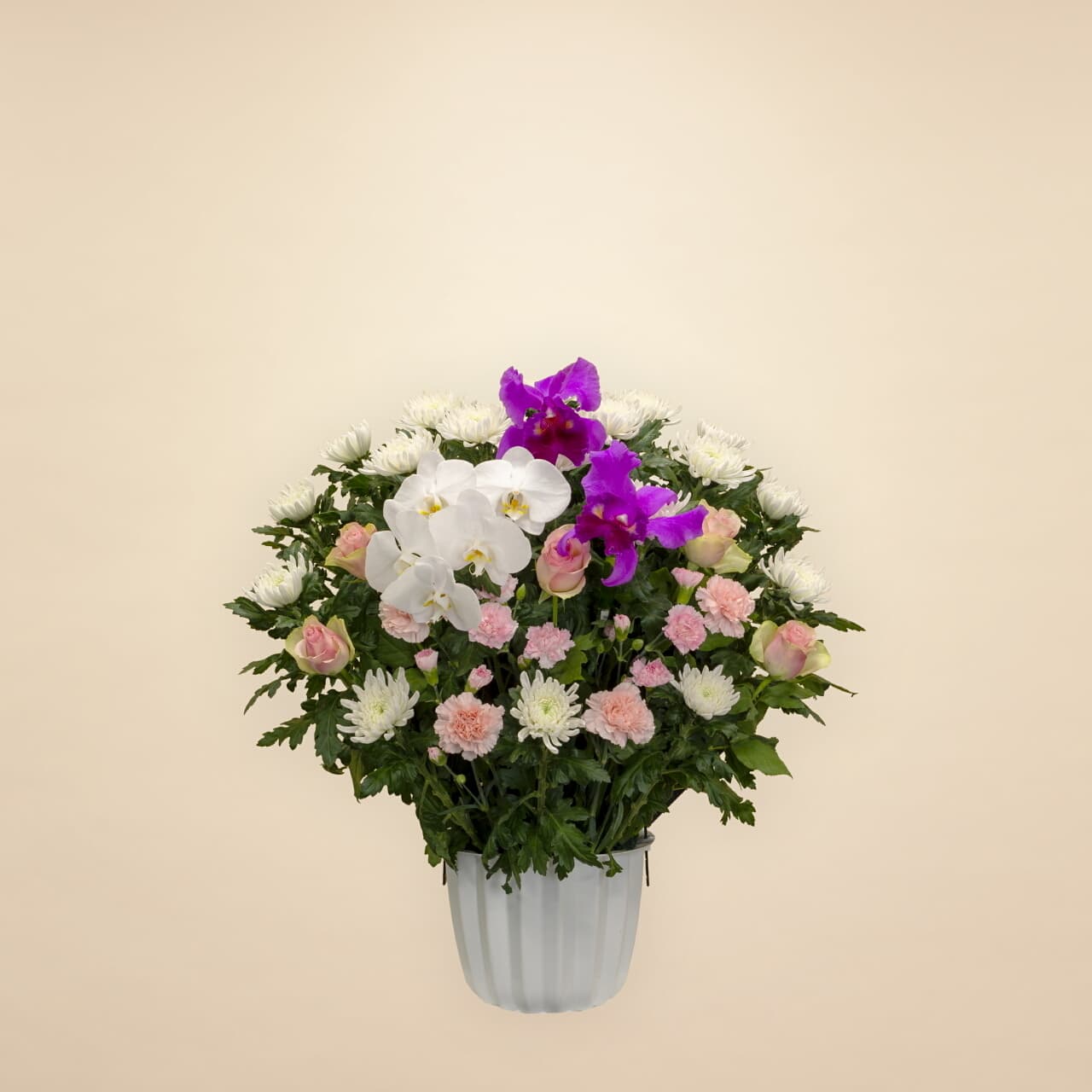 ミックスピンク 20000