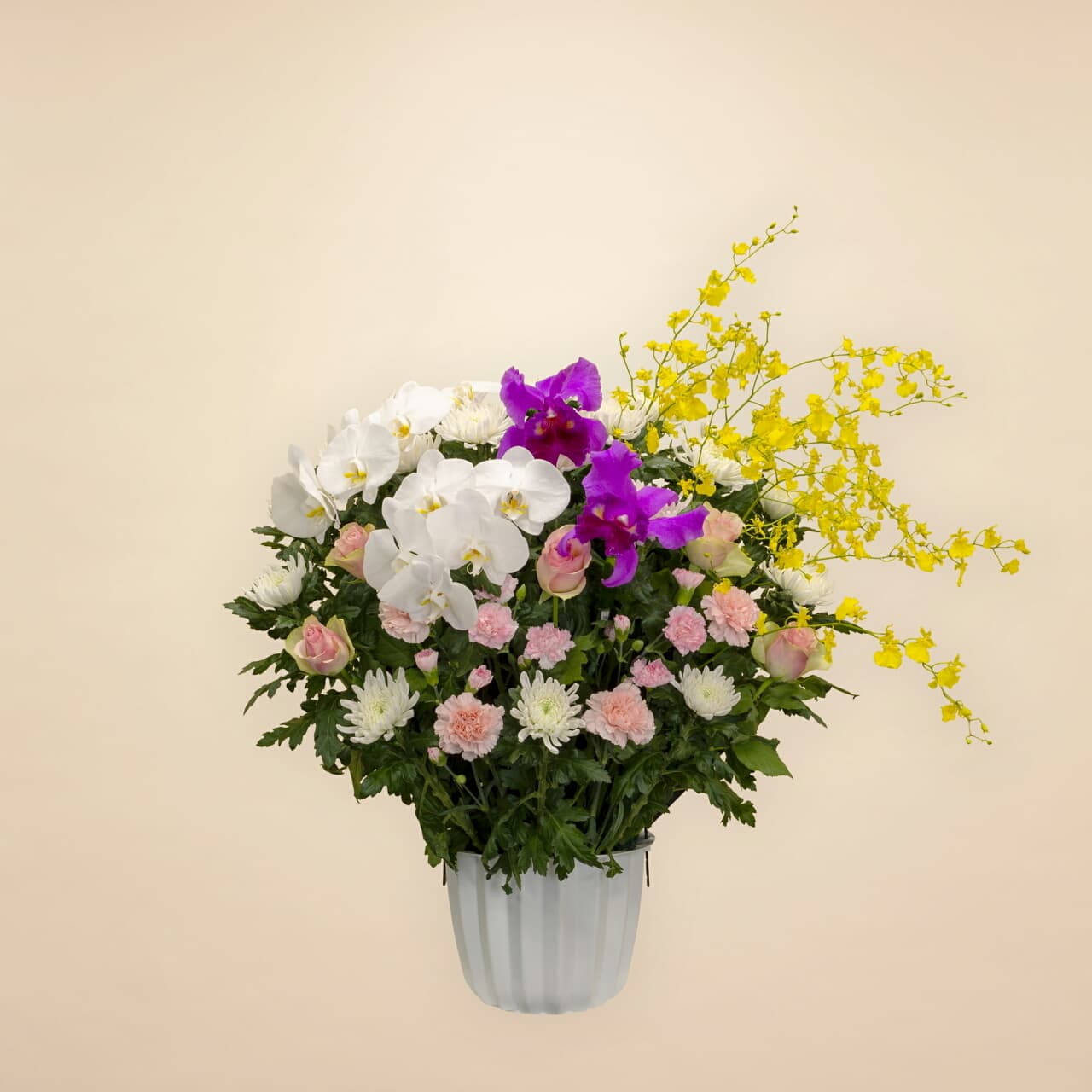 ミックスピンク 30000